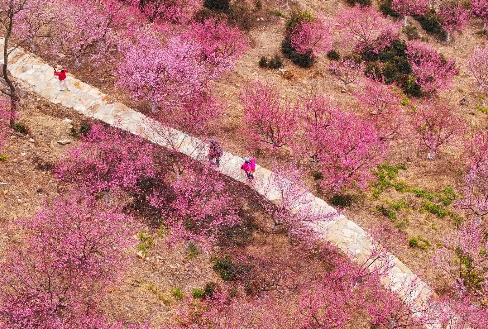 尴尬！中国女排联赛4队热身遭美国球队横扫，对手全是大学生